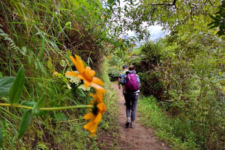 5-Day Lares &amp; Short Inca Trail Trek